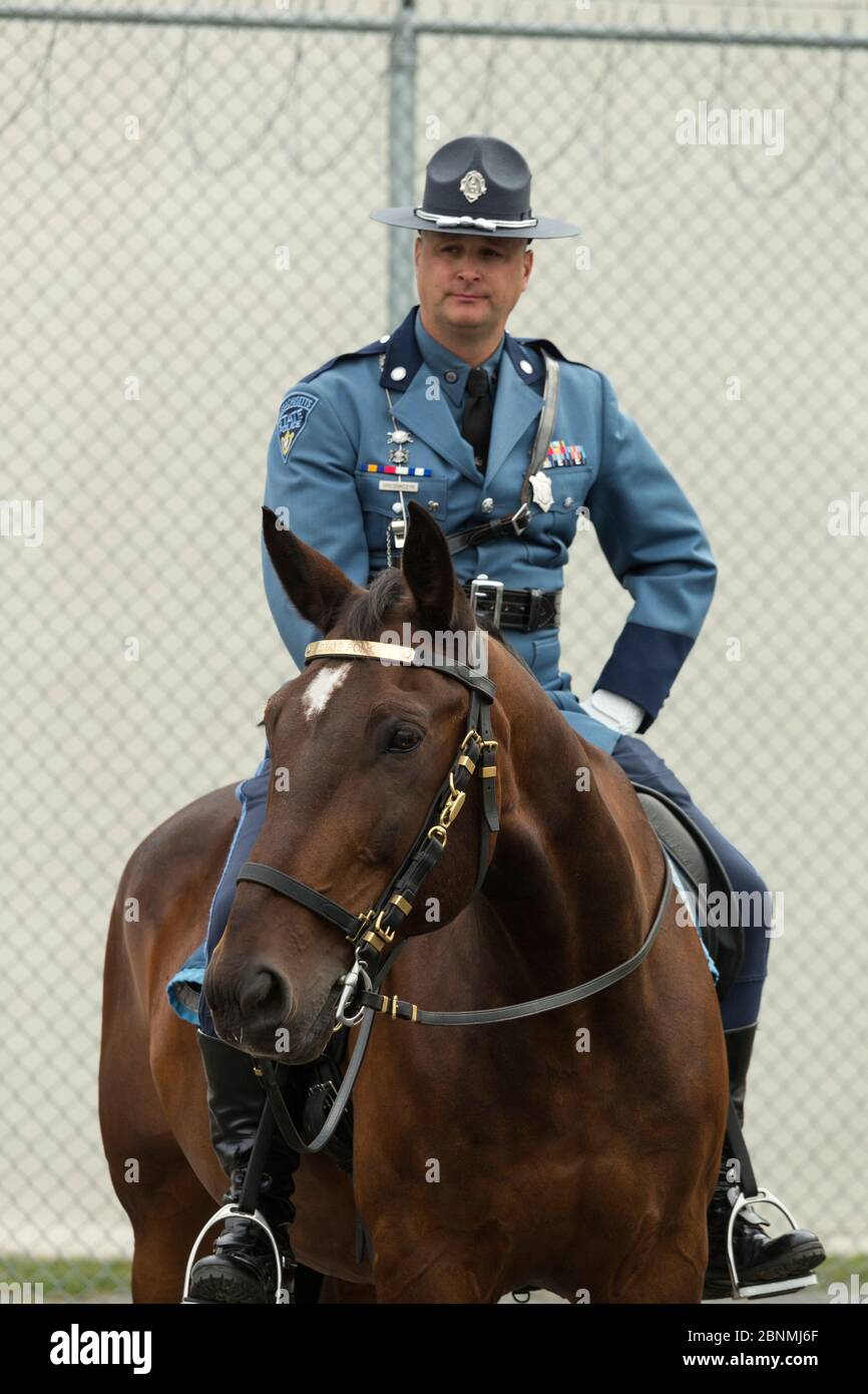 Portrait d'un officier de police du Massachusetts monté sur son cheval de sang chaud, pendant la compétition équestre de la police nationale américaine (NAPEC), à King Banque D'Images