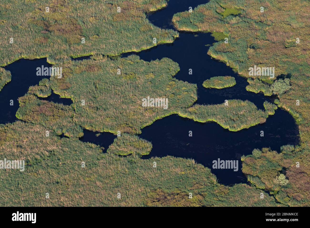 Vue aérienne du delta du Danube, deuxième plus grande zone humide d'Europe et le plus grand lit de roseaux du monde, avec des îles de roseaux, la Roumanie Banque D'Images