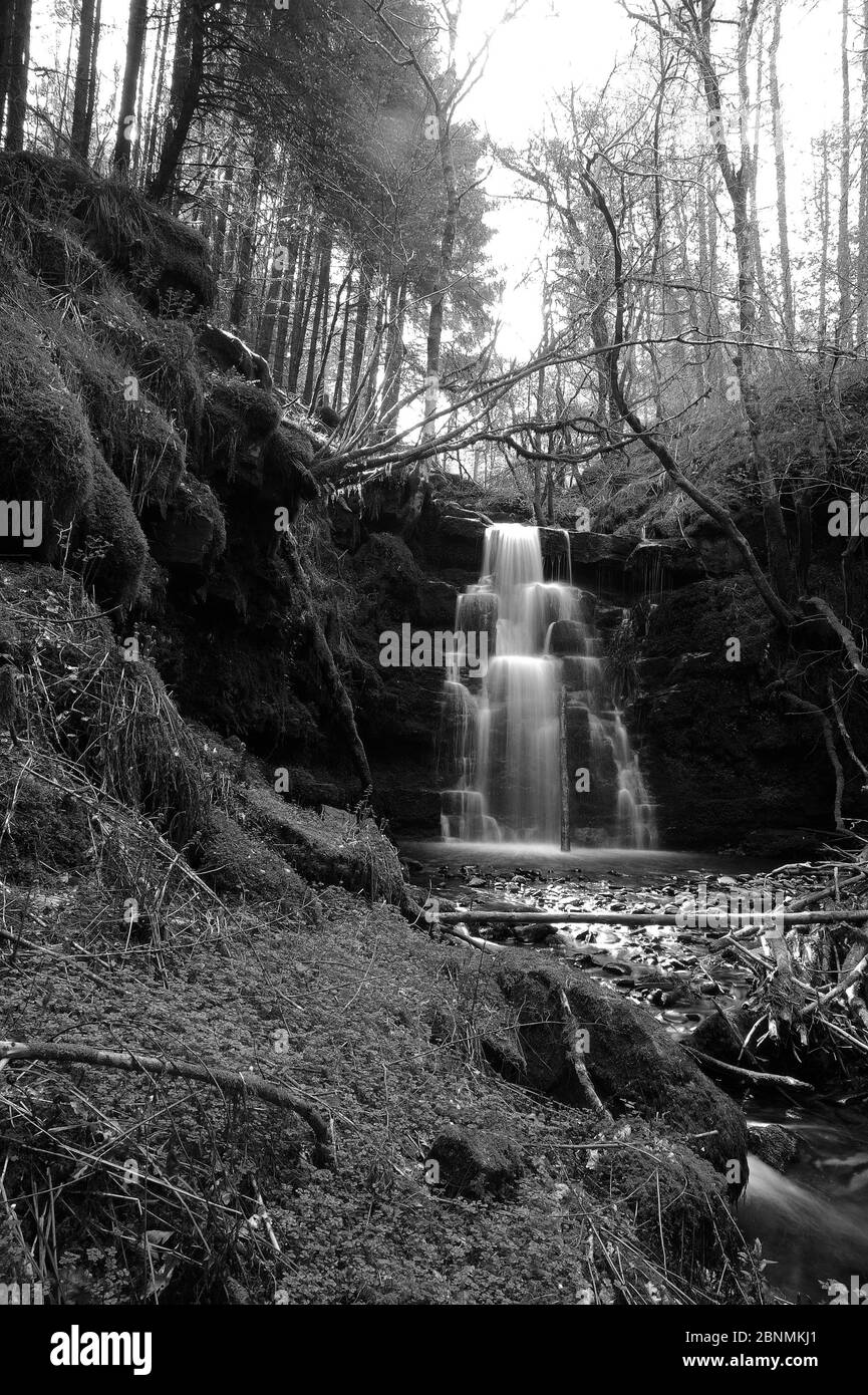 La troisième et dernière petite cascade entre la cascade et la cascade principale sur le Nant Bwrefwr. Banque D'Images