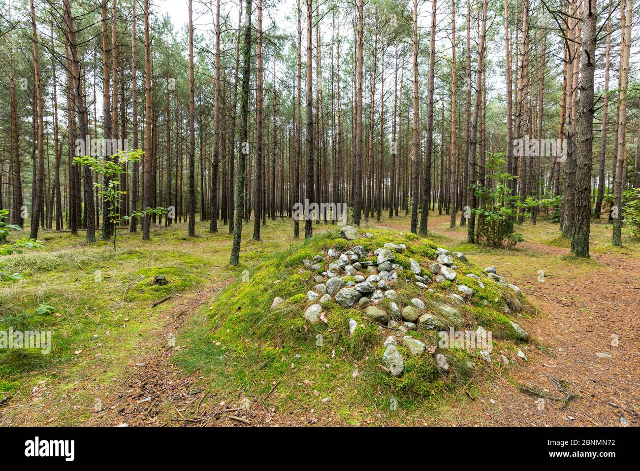 Europe, Pologne, Pomerania, Kashubia / Kaschubei - cercles de pierre mégalithique Banque D'Images