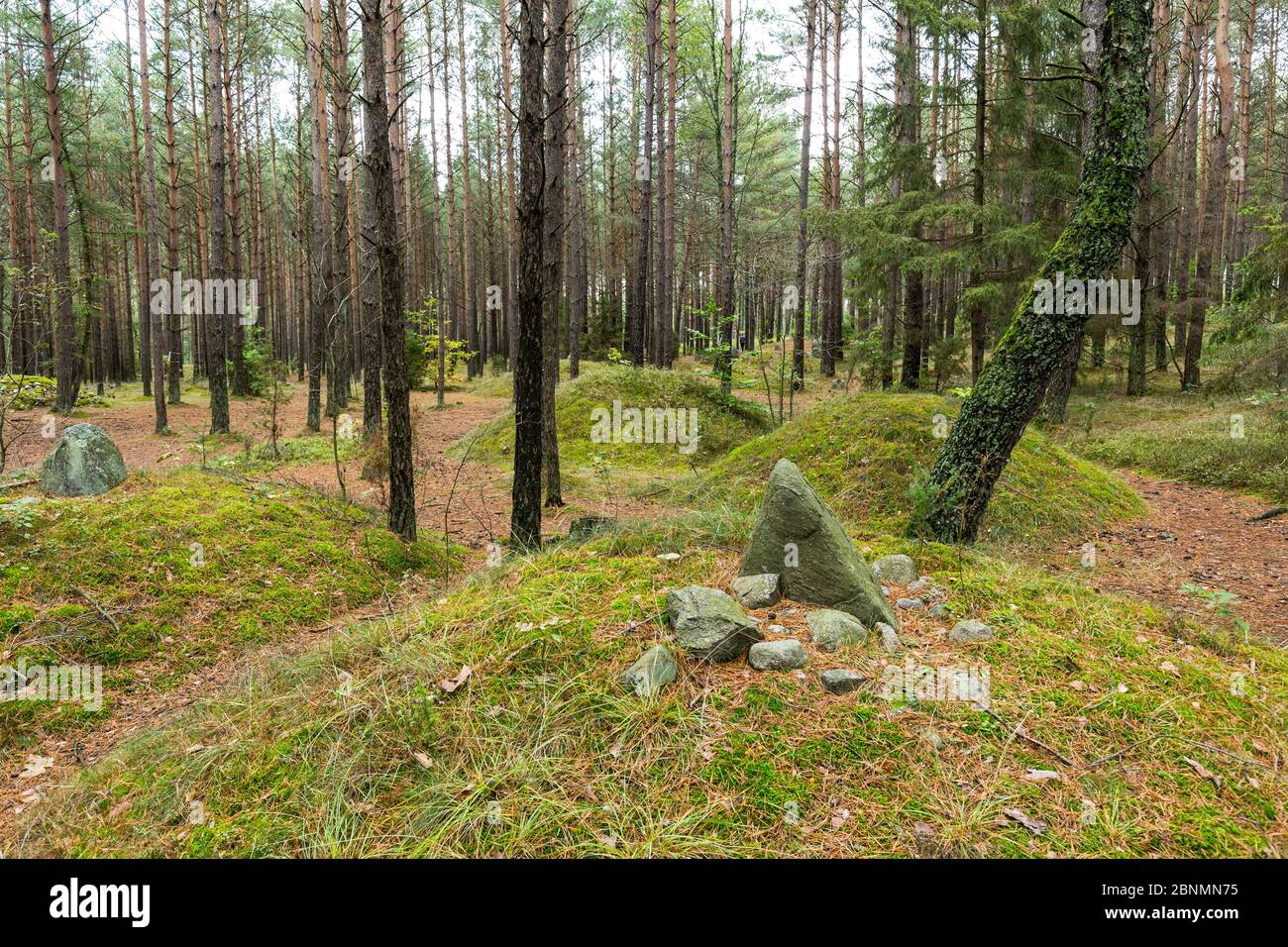 Europe, Pologne, Pomerania, Kashubia / Kaschubei - cercles de pierre mégalithique Banque D'Images