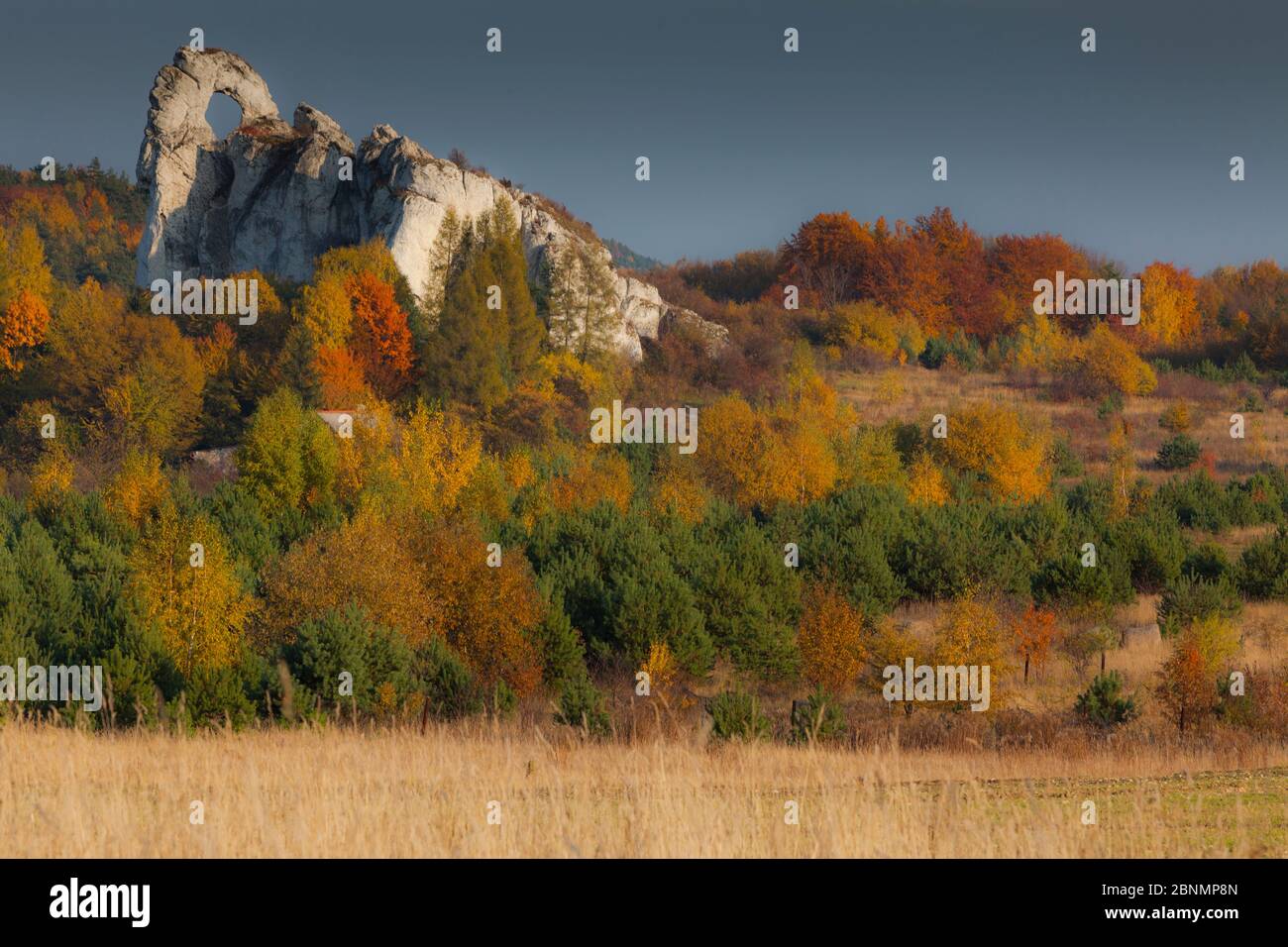 L'Europe, la Pologne, la Silésie, Krakow-Czestochowa / montagne jurassique polonais Highland - Okiennki Wielki Banque D'Images