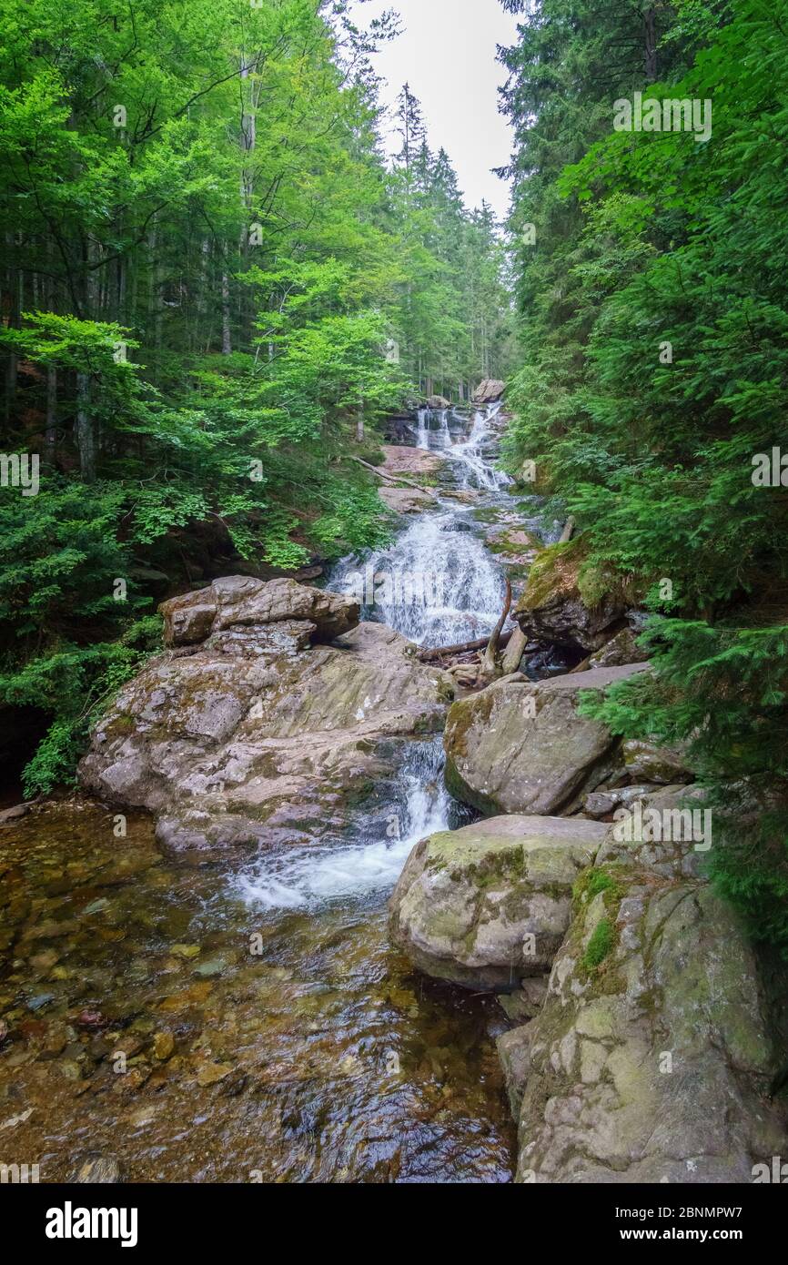 Randonnée pédestre dans les cascades de Rißloch dans la forêt bavaroise près de Bodenmais Basse-Bavière Allemagne Banque D'Images