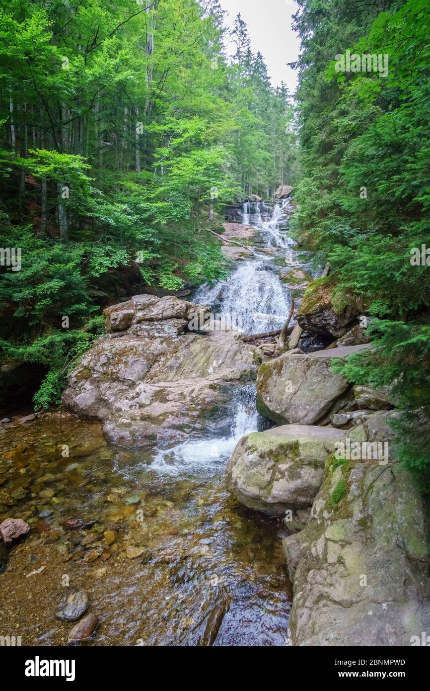 Randonnée pédestre dans les cascades de Rißloch dans la forêt bavaroise près de Bodenmais Basse-Bavière Allemagne Banque D'Images