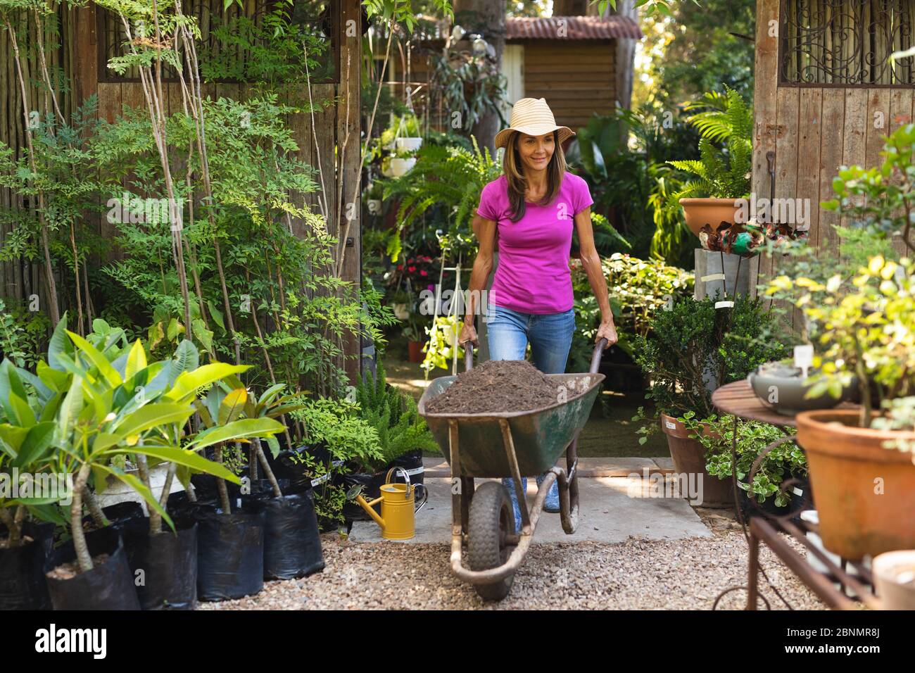 Une femme caucasienne poussant une brouette remplie de terre dans un jardin ensoleillé Banque D'Images