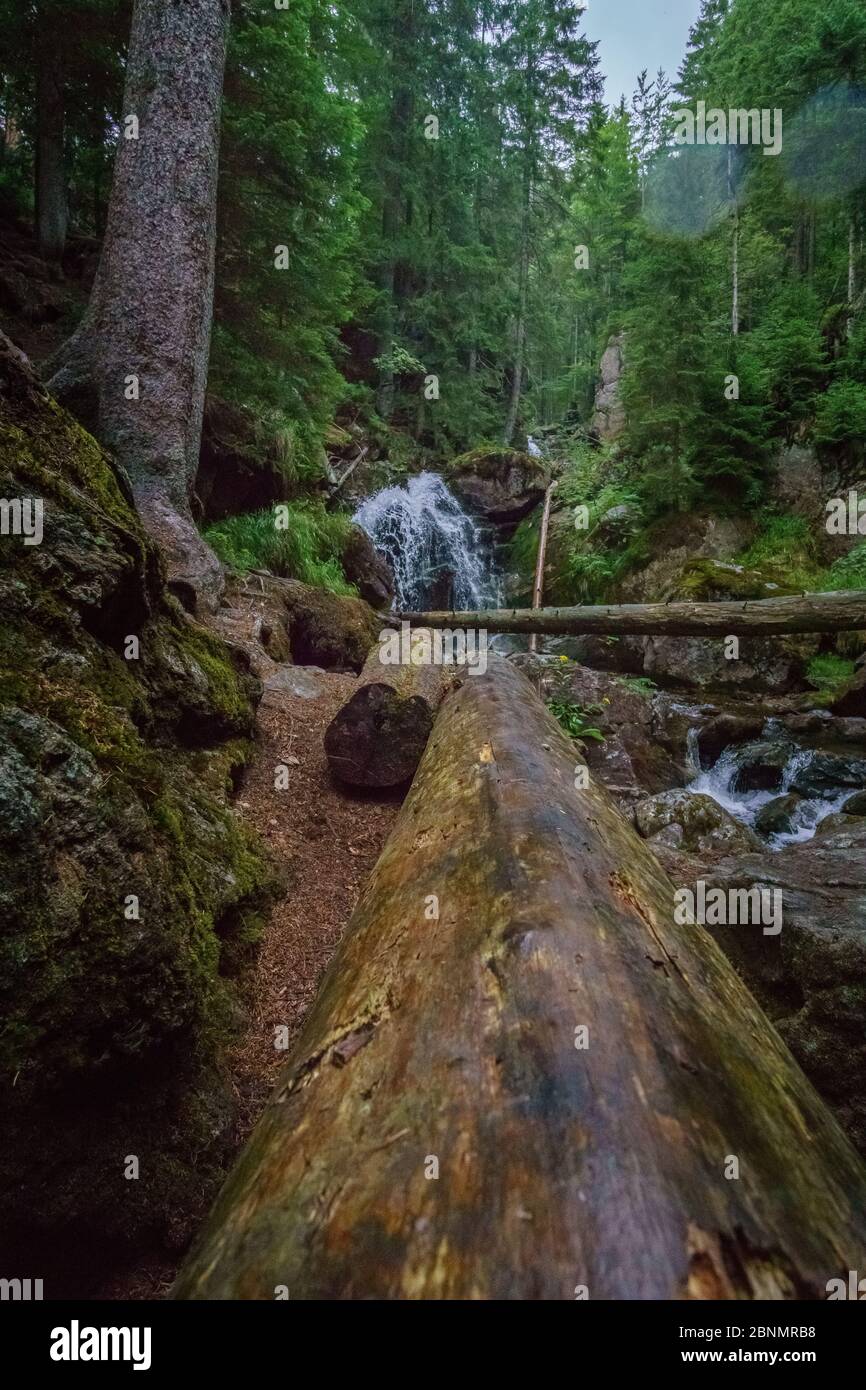 Randonnée pédestre dans les cascades de Rißloch dans la forêt bavaroise près de Bodenmais Basse-Bavière Allemagne Banque D'Images