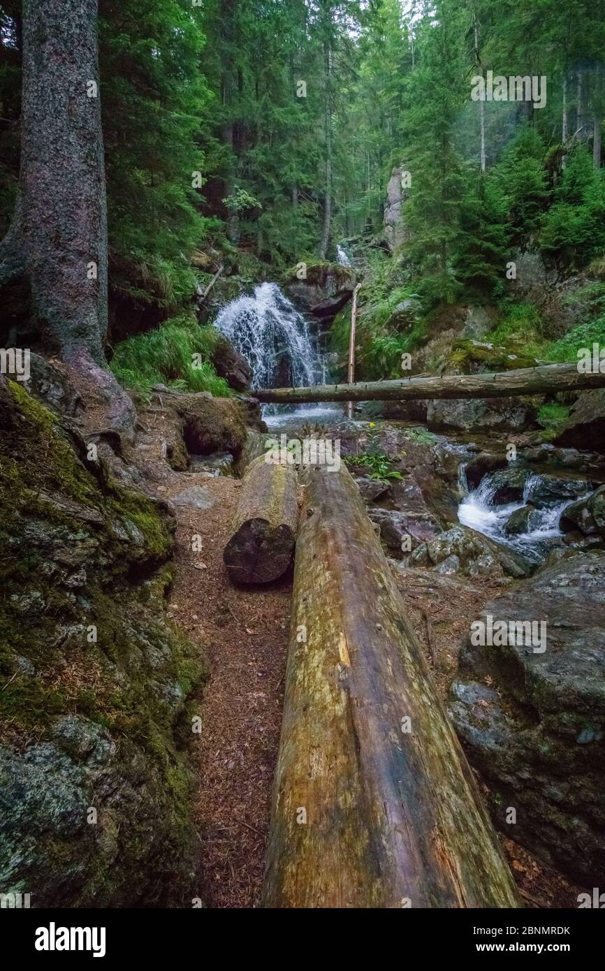 Randonnée pédestre dans les cascades de Rißloch dans la forêt bavaroise près de Bodenmais Basse-Bavière Allemagne Banque D'Images