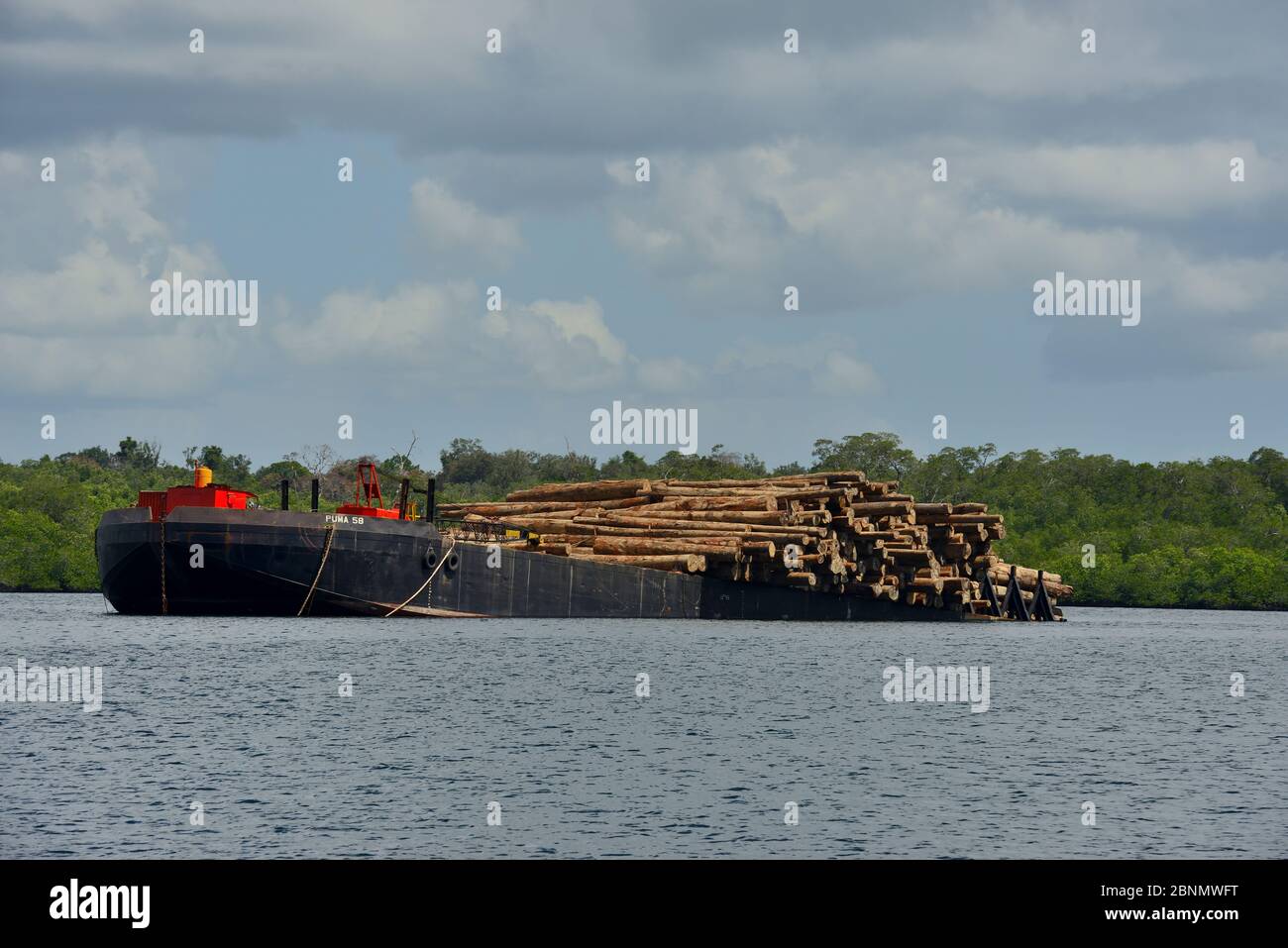 Bateau chargé de bois provenant de forêts locales, Siberut, Sumatra, juillet Banque D'Images