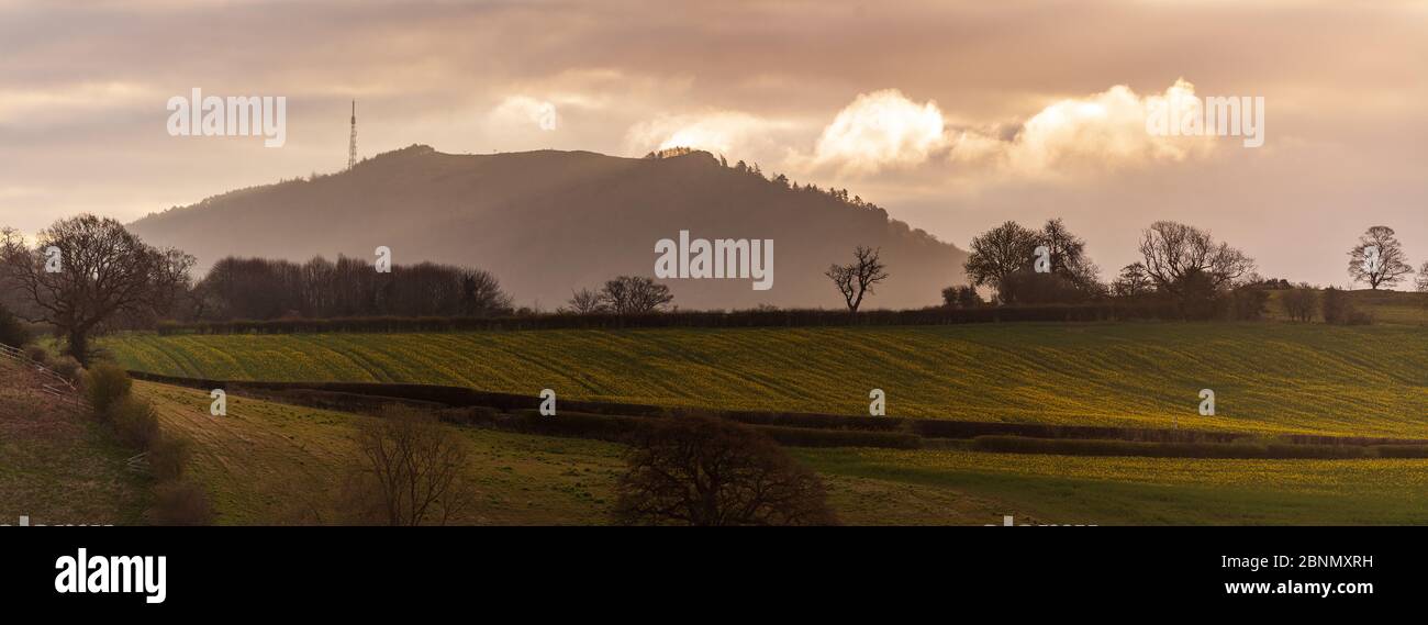 The Wrekin, Shropshire Angleterre Banque D'Images