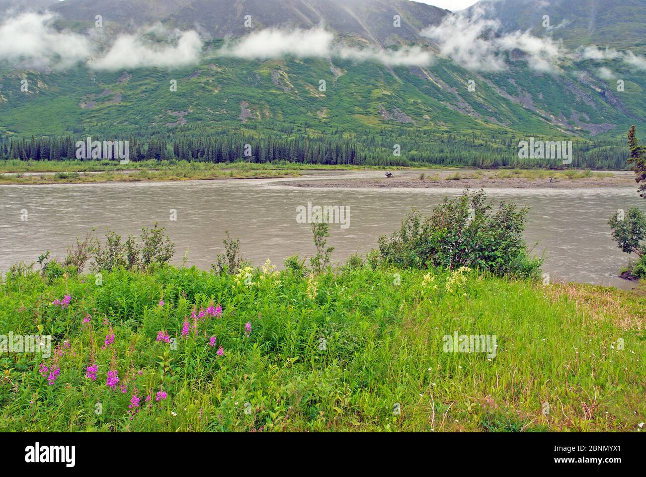 Paysage de l'Alaska en été Banque D'Images