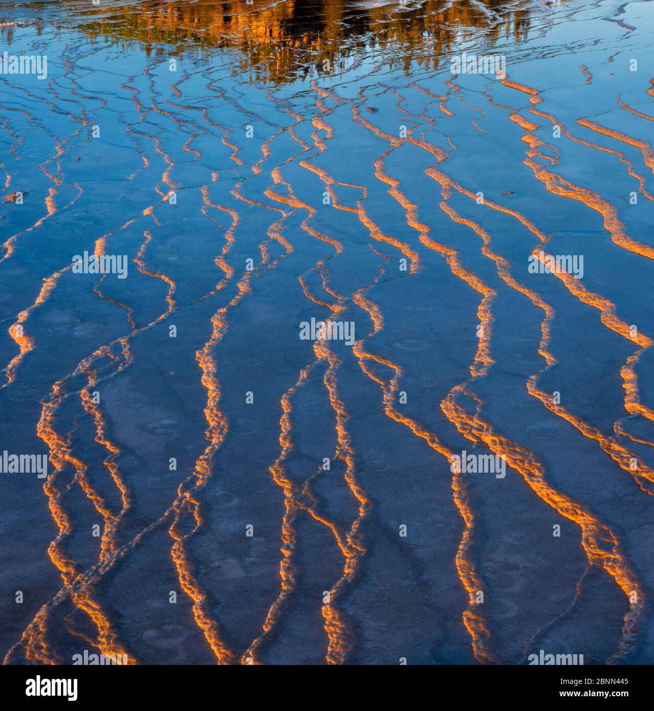 Motifs dans les tapis bactériens dans la lumière de l'après-midi. Grand Prismatic Spring, Middle Geyser Basin, Parc national de Yellowstone, Wyoming, Etats-Unis. Banque D'Images