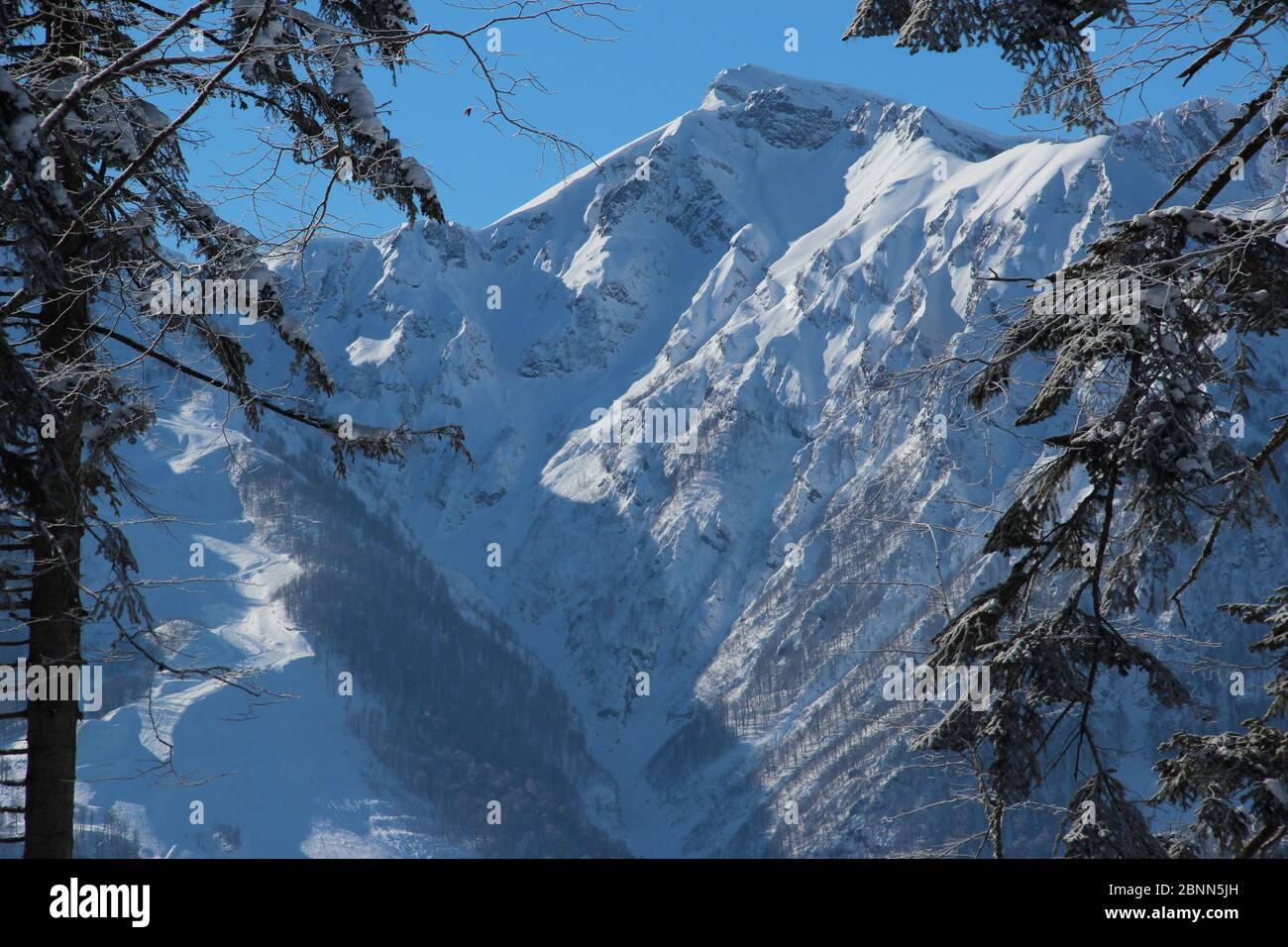 Des montagnes enneigées entourant Rosa Khutor au nord de Sotchi pendant l'hiver en Russie Banque D'Images