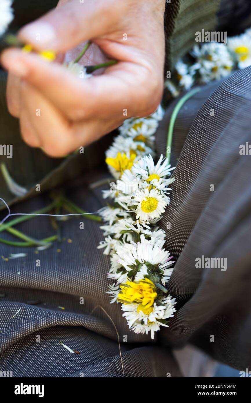 Collier de fleurs de Marguerite, Maroc Photo Stock - Alamy