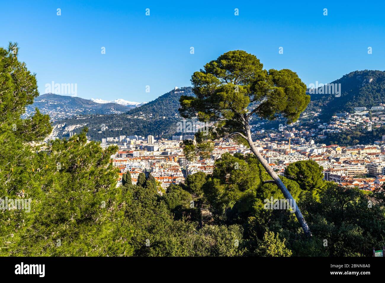 Vue de Nice entre la végétation méditerranéenne de la colline du Château en une journée ensoleillée, France Banque D'Images