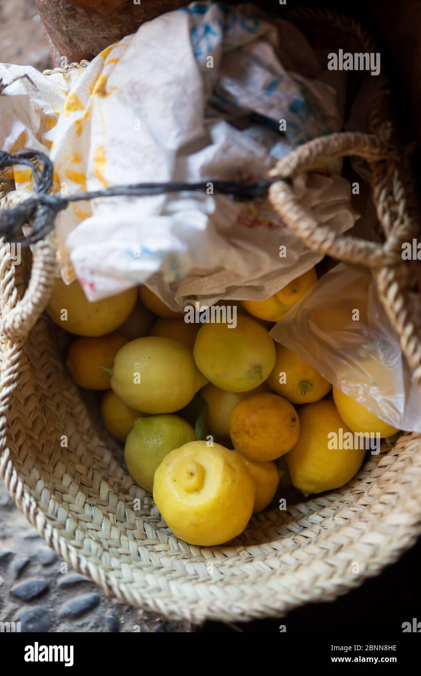 Citrons dans le panier, Maroc Banque D'Images