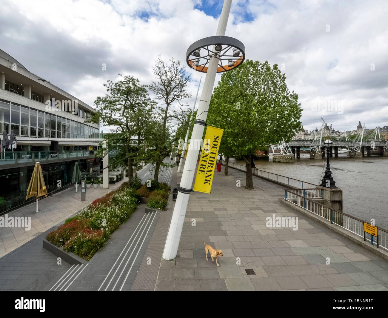 Londres. ROYAUME-UNI. 13 mai 2020. Grand angle de vue de South Bank pendant le verrouillage Banque D'Images