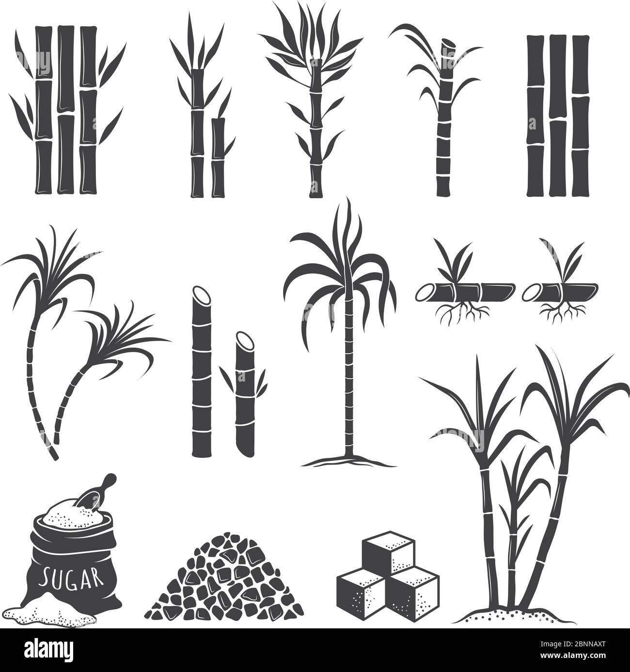 Symboles de la ferme de canne à sucre. Bonbons champ récolte de plantes de broyage illustrations vectorielles colorées isolées sur fond blanc Illustration de Vecteur