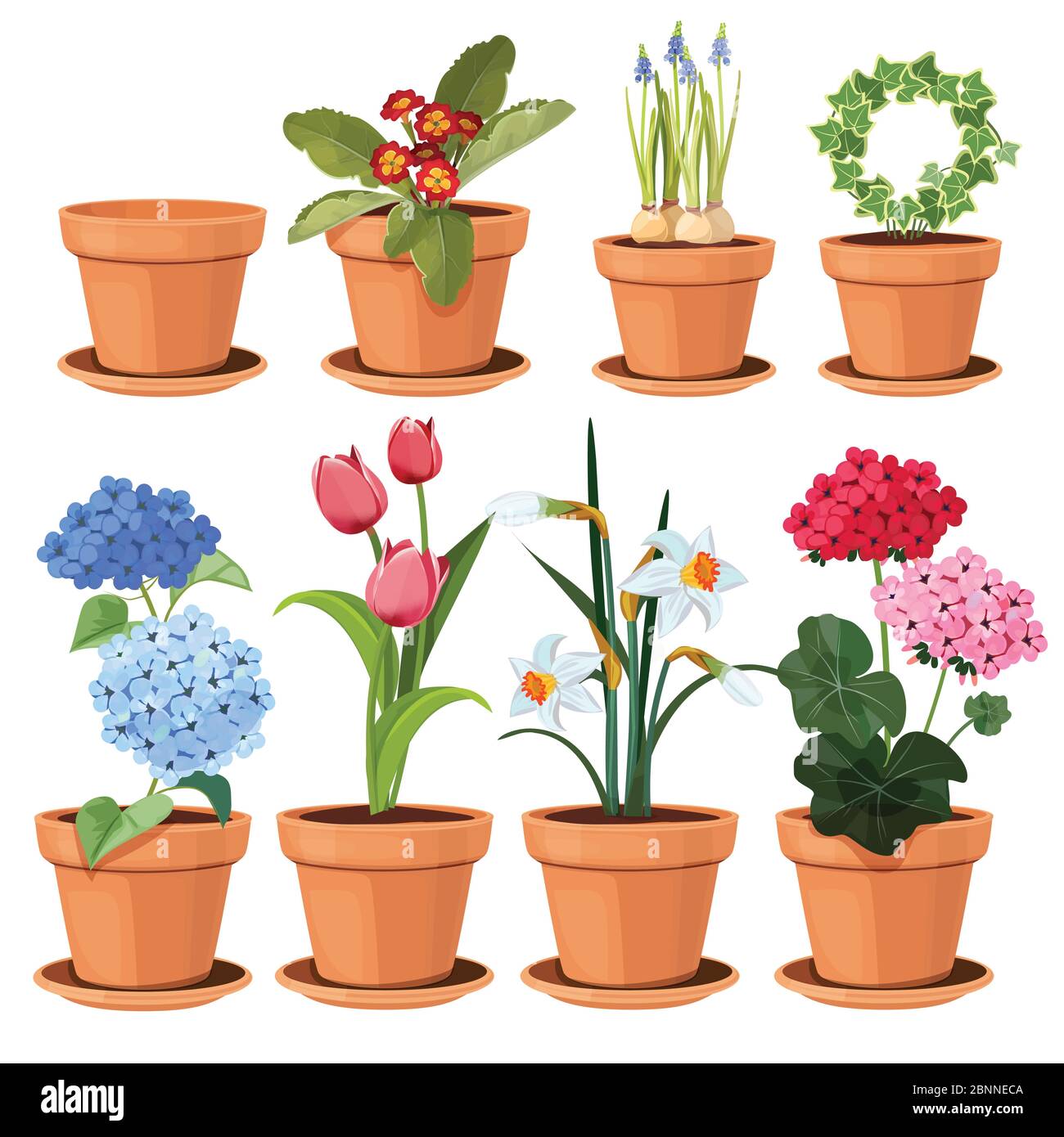 Pot de fleurs. Les plantes colorées décoratives poussent à la maison dans les pots amusants vecteur dessins animés ensemble isolé Illustration de Vecteur