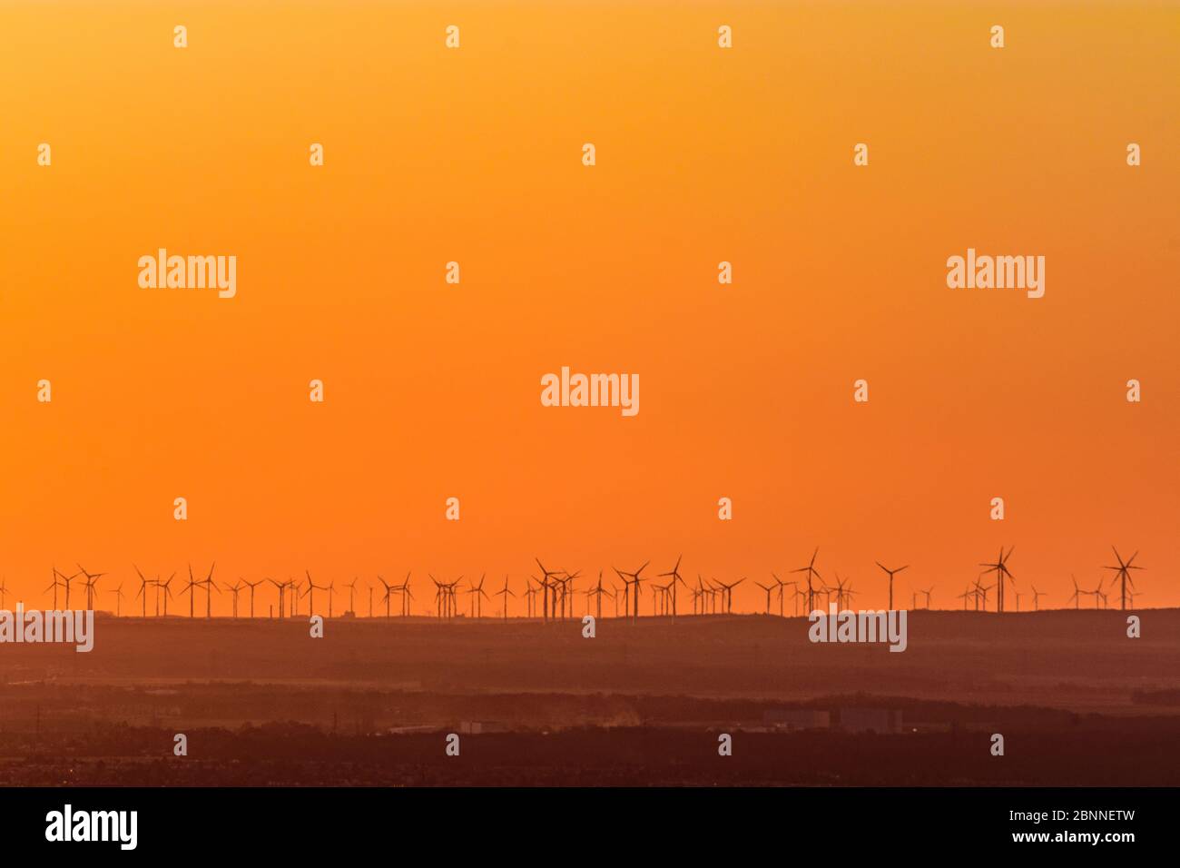 Vienne, éoliennes à Marchfeld au lever du soleil, vue d'ensemble, Autriche Banque D'Images