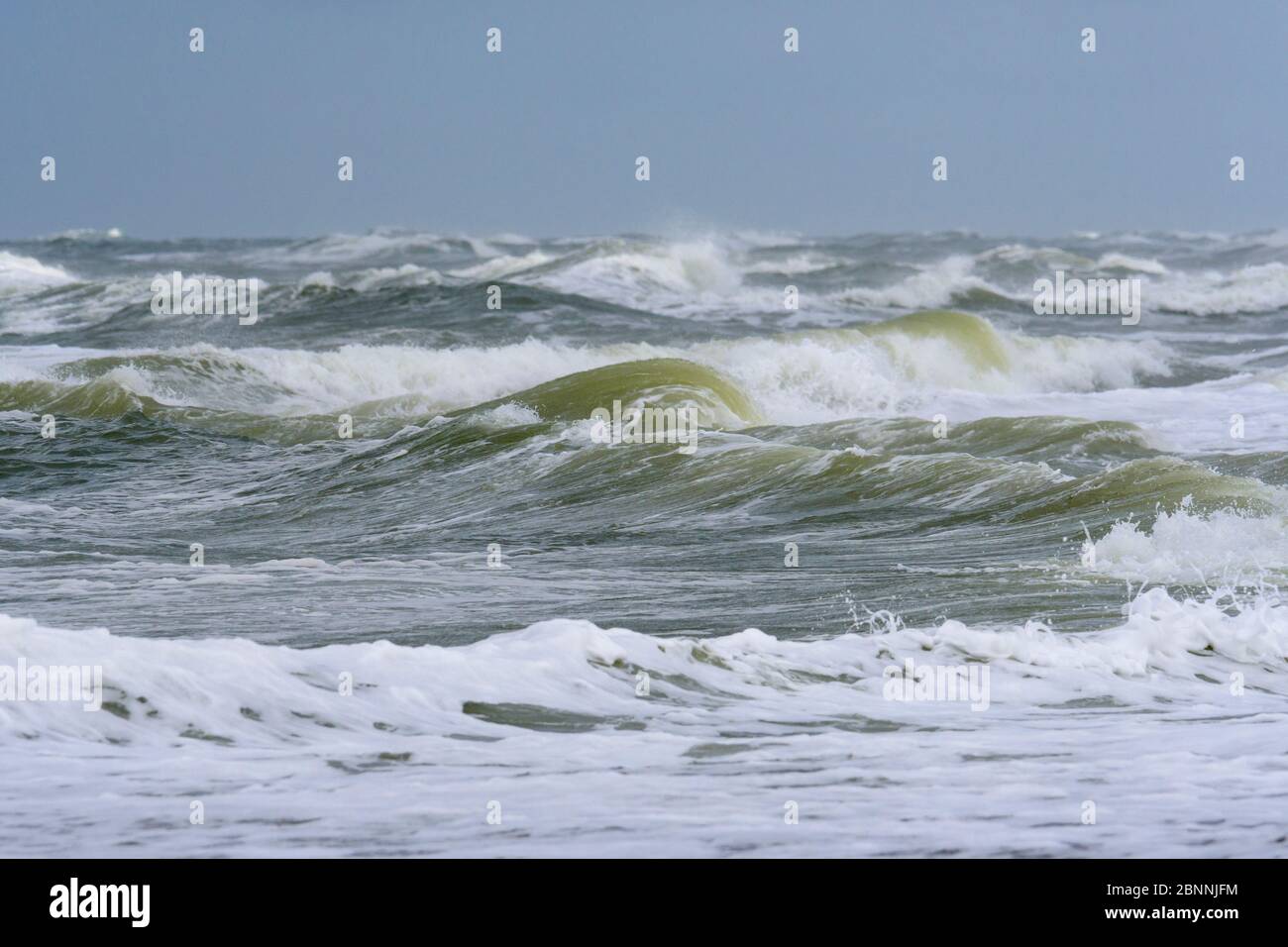 Breaking Wave, Vorope, Nationalpark Thy, Thisted, Mer Du Nord, Jutland Nord, Danemark Banque D'Images