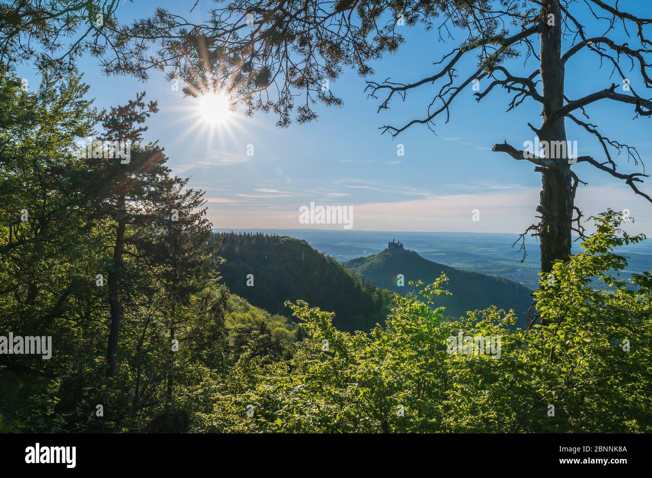 Point de vue Burg Hohenzollern avec soleil au printemps, Alb souabe, Jura souabe, Bisingen, Bade-Wurtemberg, Allemagne Banque D'Images