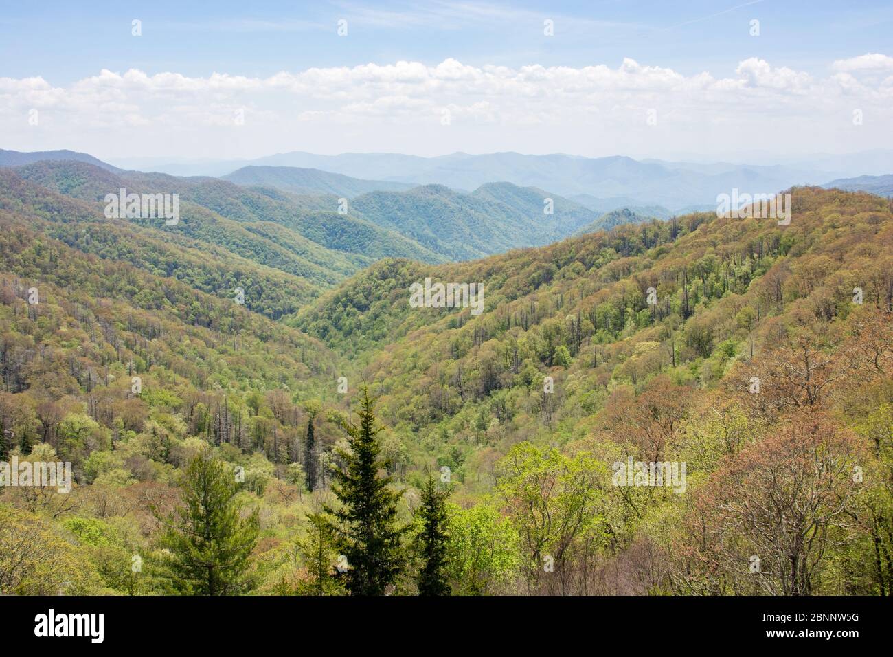 Newfound Gap, dans le parc national des Great Smoky Mountains, est un col de montagne offrant des vues et des vues panoramiques incroyables. Le sentier des Appalaches passe également par. Banque D'Images