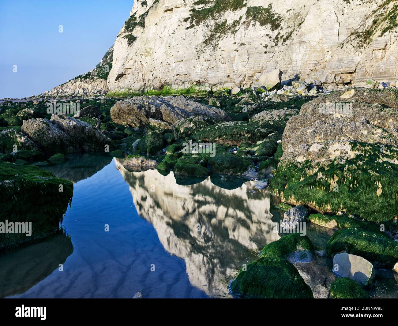 Côte d'Opal, falaises de craie, algues, côte de craie, bassins de marée, sable, chute de roche, ciel bleu, début d'été, mai, ambiance de soirée Atlantique, Manche Banque D'Images