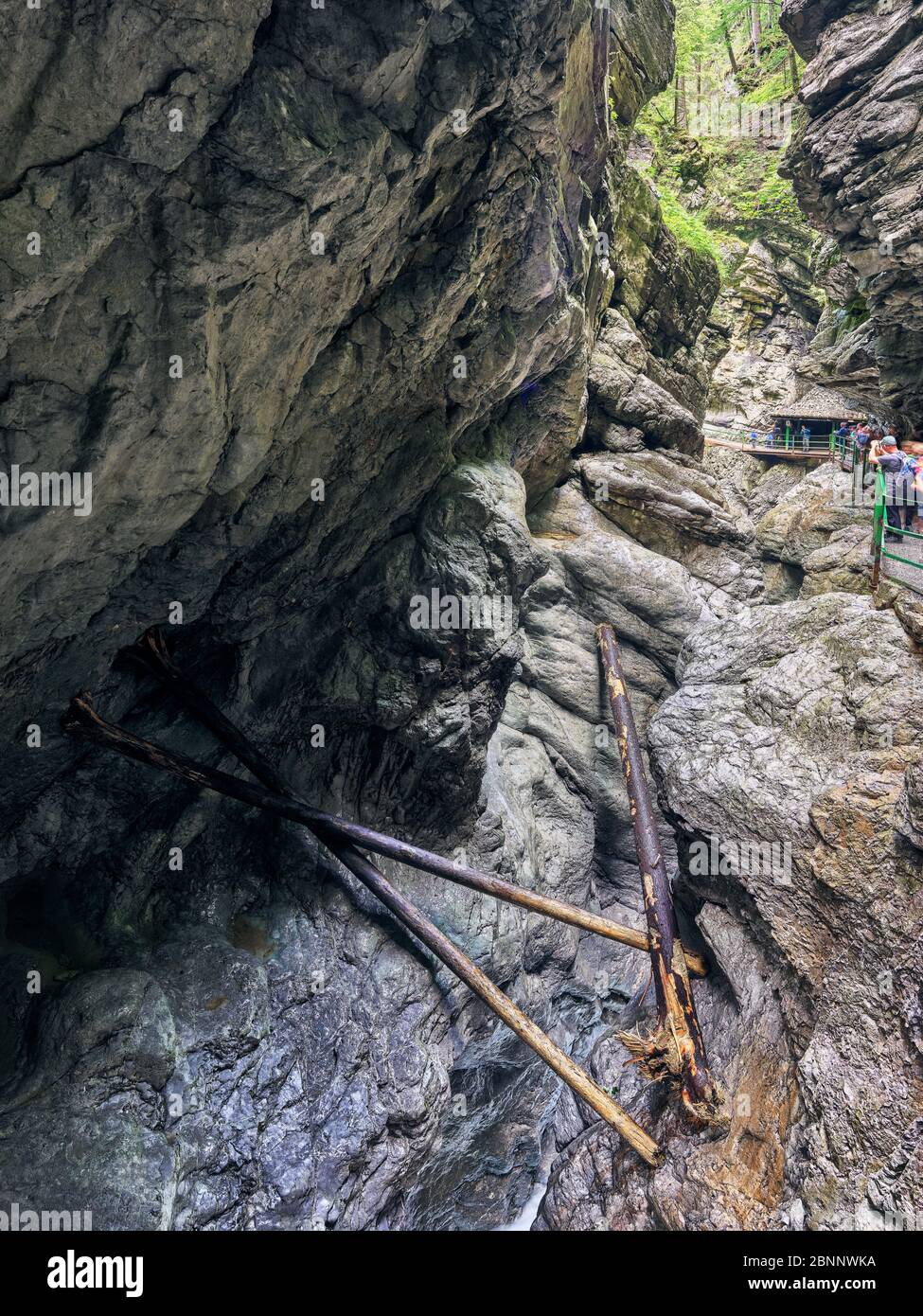 Gorge, canyon, rivière, eau, courant, troncs d'arbres, rochers Banque D'Images