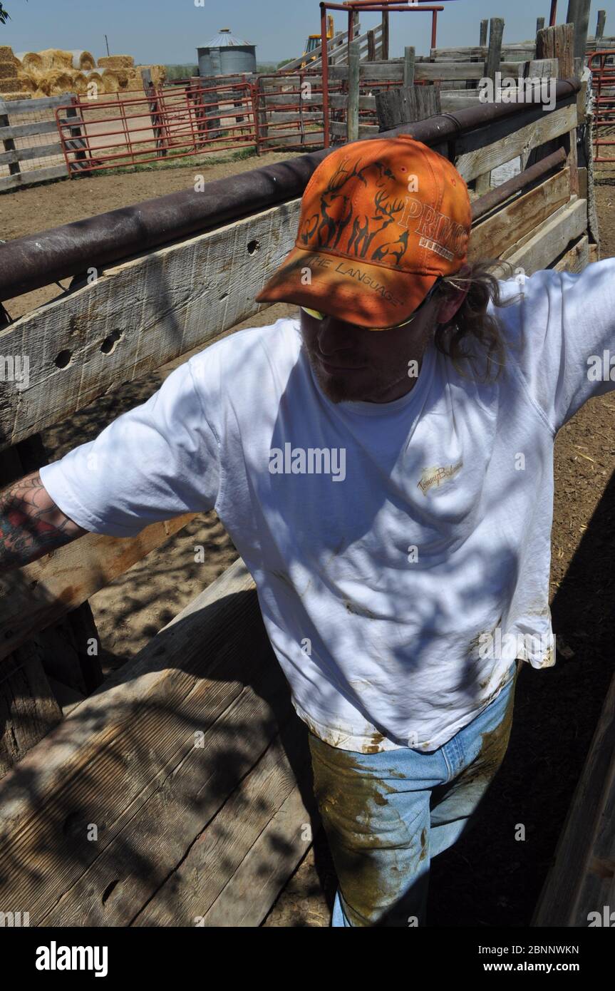 Image de marque Banque D'Images