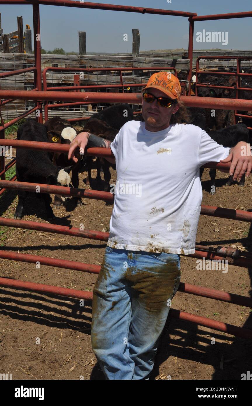 Image de marque Banque D'Images