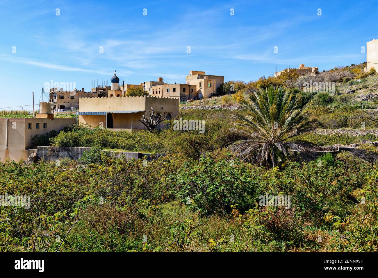 Village de montagne, jardins, terrasses, jardin de terrasse, sentiers, arbres, arbustes, mosquée, minaret Banque D'Images