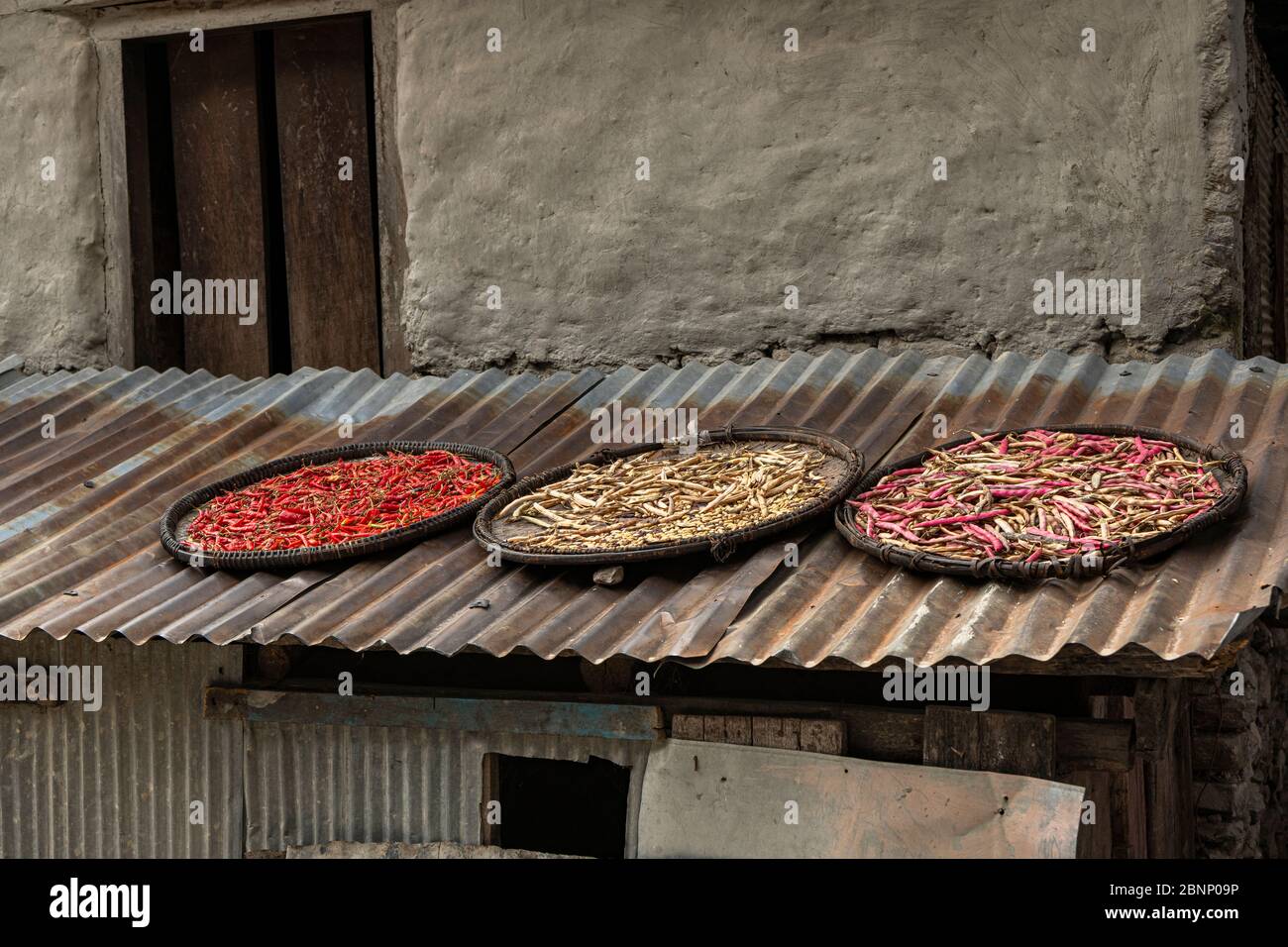 Gousses de piment et haricots secs sur un toit au Népal Banque D'Images