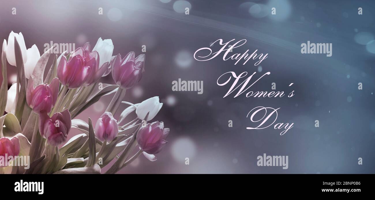 Joyeux jour des femmes, tulipes roses et blanches Banque D'Images