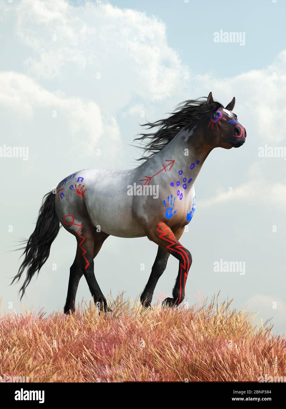 Evolution Rouan Cheval Cheval de guerre rouan Banque de photographies et d’images à haute ...