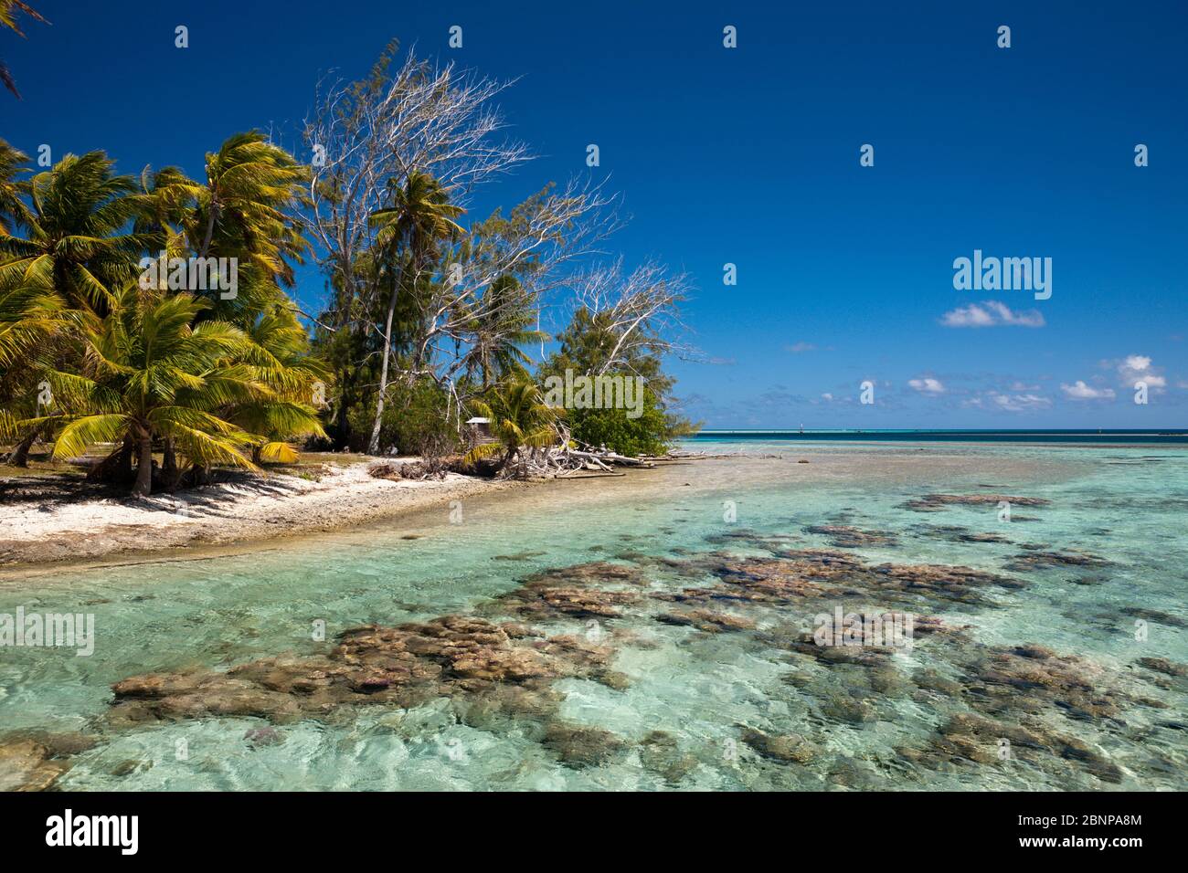 Lagon De Tetamanu Village, Fakarava, Tuamotu Archipel, Polynésie Française Banque D'Images