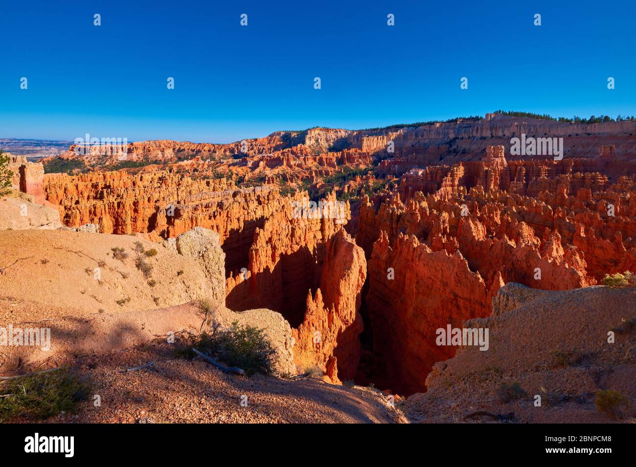 États-Unis, États-Unis d'Amérique, Bryce Canyon, Utah, Sud-Ouest des États-Unis, Banque D'Images
