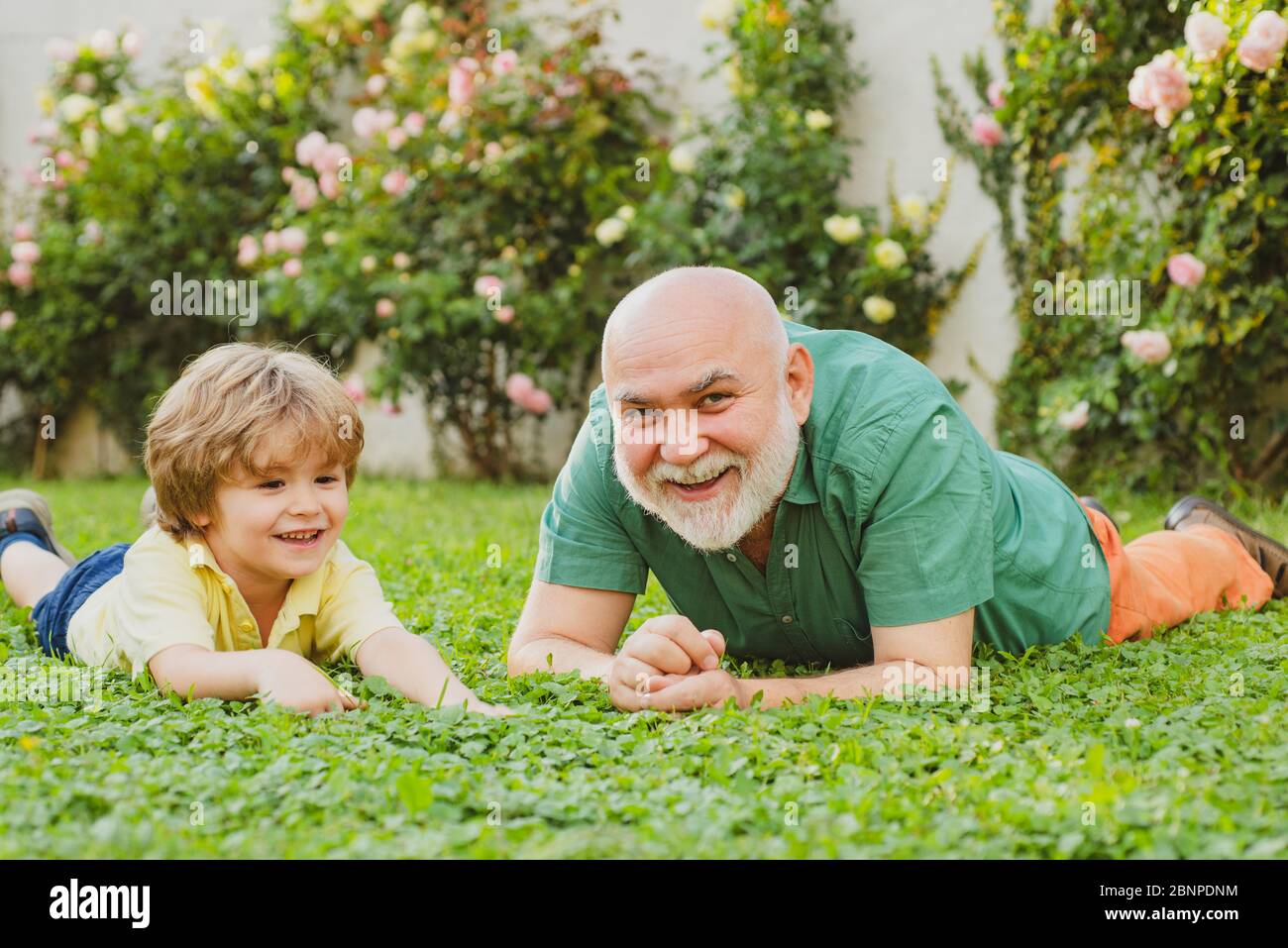 Petit-fils embrasse son grand-père. Père et enfant heureux de famille sur  la prairie avec un cerf-volant en été sur l'herbe verte. Un joli garçon  avec un papa jouant à l'extérieur Photo Stock -