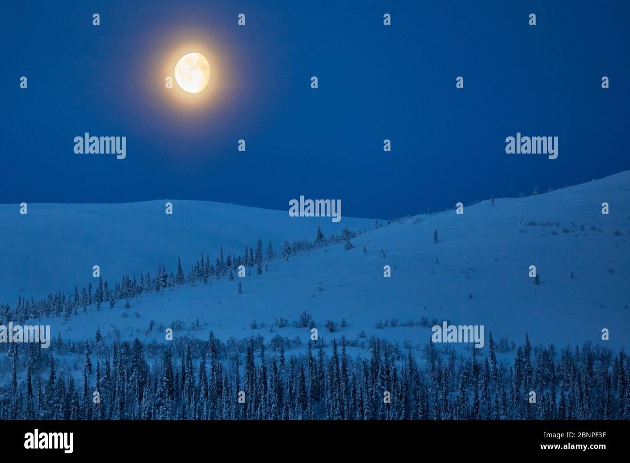 Finlande, Laponie, Pallastunturi, paysage, nuit, lune, bleu Banque D'Images