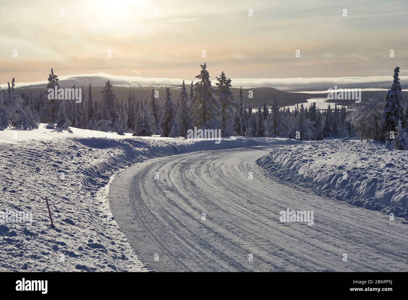 Finlande, Laponie, Pallastunturi, paysage, montagnes, route Banque D'Images
