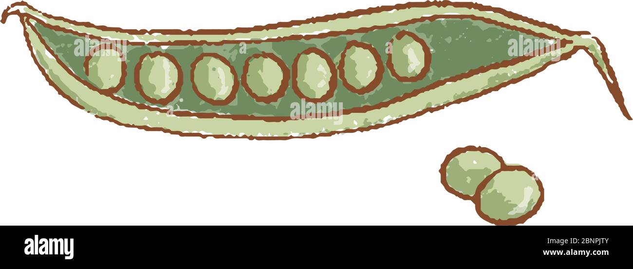 Pois verts frais et icône isolée de pois. Ressort. Rareripes. hastings du marché agricole, illustration vectorielle Illustration de Vecteur