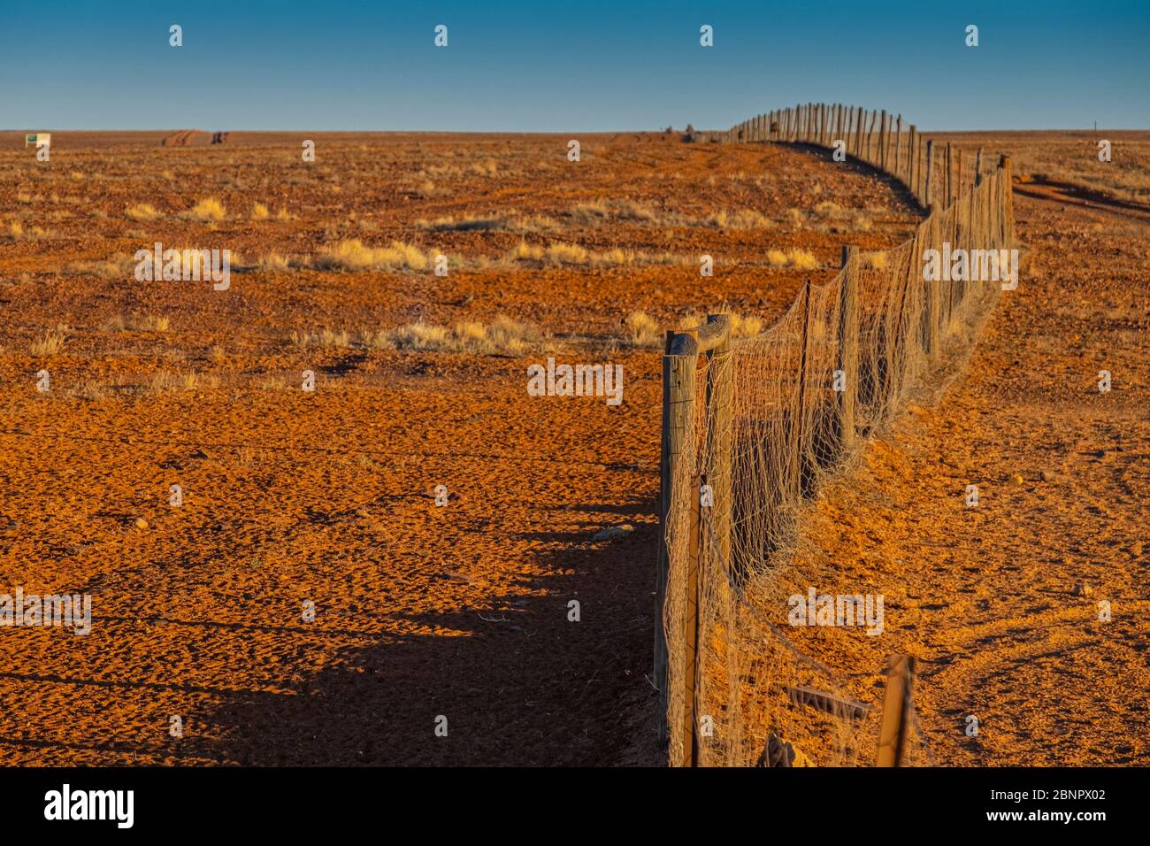 Admirez une partie de la célèbre Fence de dingo ou de la Fence de chien à Coober Pedy, Australie méridionale, Outback. Banque D'Images