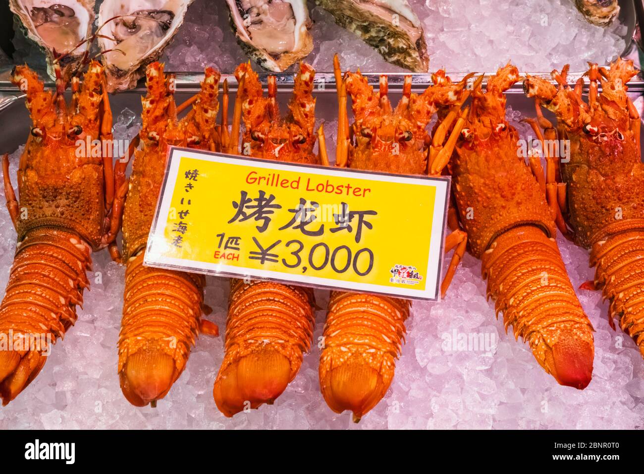 Japon, Honshu, Tokyo, Tsukiji, Marché Extérieur Tsukiji, Salon Des Fruits De Mer Avec Homards Banque D'Images