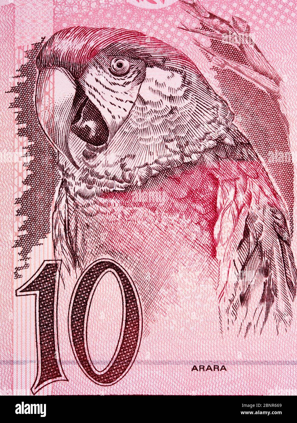 Un portrait de l'argent brésilien Banque D'Images