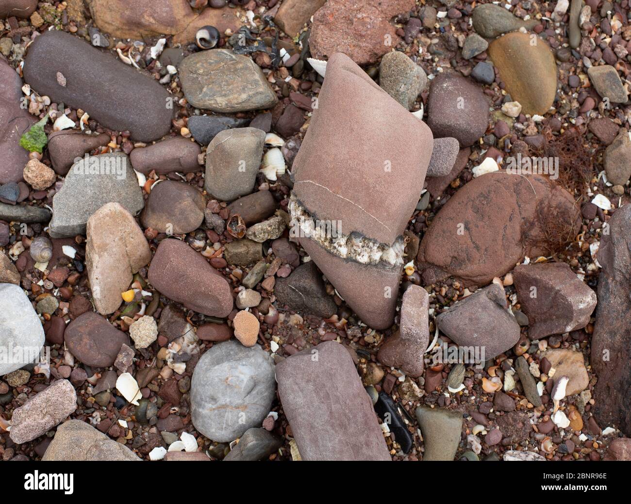 Assortiment de Rocks sur la plage. Banque D'Images