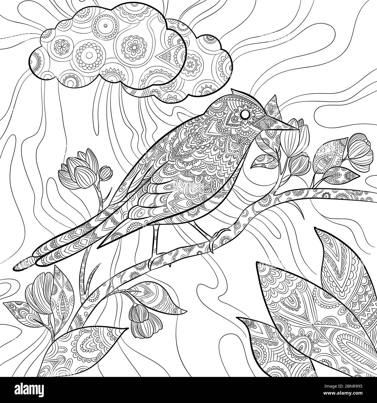 Coloriage des pages oiseau. Animal volant sauvage assis sur la branche vecteur nature florale dessin de lignes illustrations Illustration de Vecteur