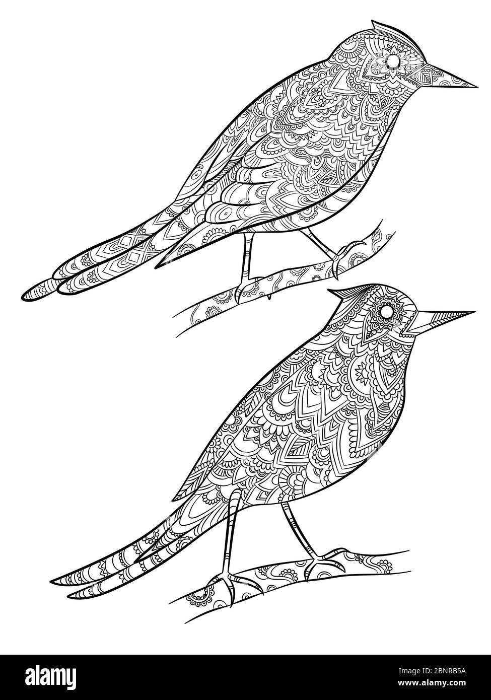 Pages de coloriage des oiseaux. canari sauvage volant avec motif floral linéaire sur leurs illustrations de dessin animé vecteur corps Illustration de Vecteur