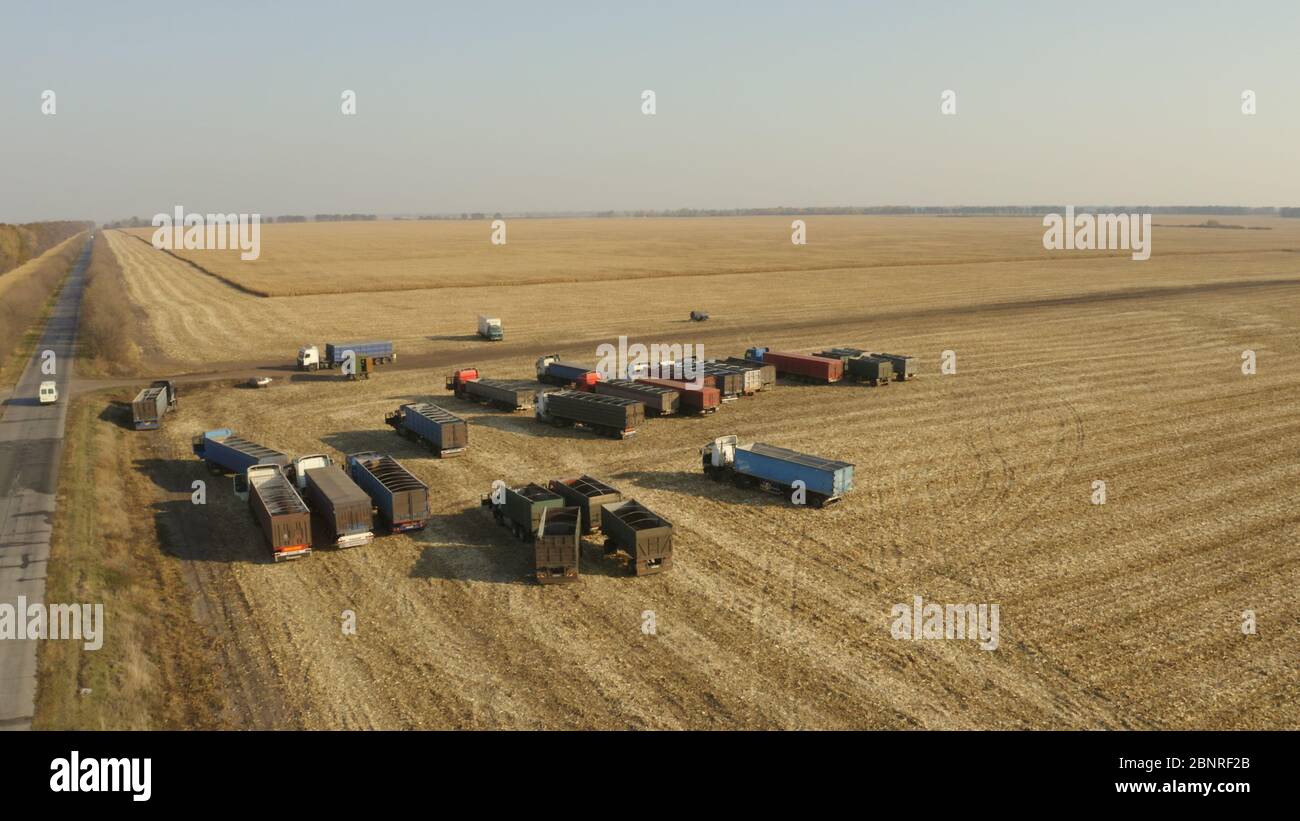 De nombreux camions sur champ de blé, vue de dessus. Banque D'Images De nombreux camions sur champ de blé, vue de dessus. Banque D'Images