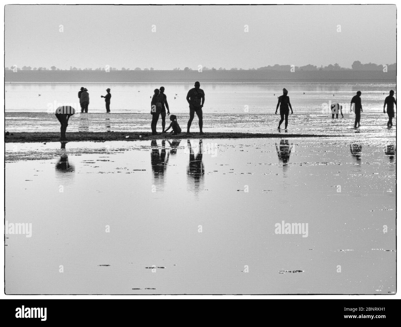 silhouettes de gens sur l'estuaire Banque D'Images