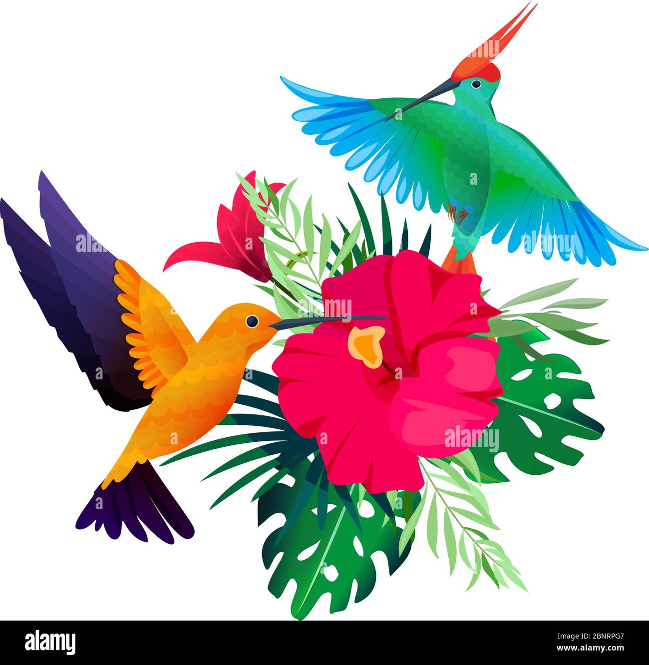 Plantes d'oiseaux tropicaux. Arrière-plan exotique coloré avec perroquets et colibris assis sur des feuilles et des fleurs image vectorielle Illustration de Vecteur