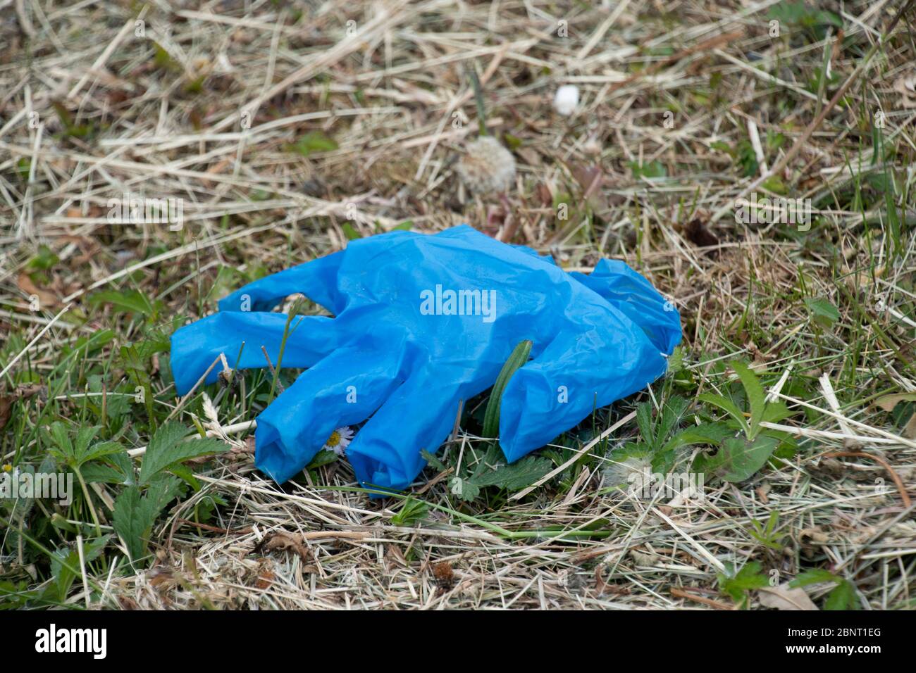 Sheffield UK – 13 2020 mai : gants en caoutchouc bleu abandonnés jetés sur le sol, les EPI protecteurs deviennent la litière pendant le pandem du coronavirus Covid-19 Banque D'Images